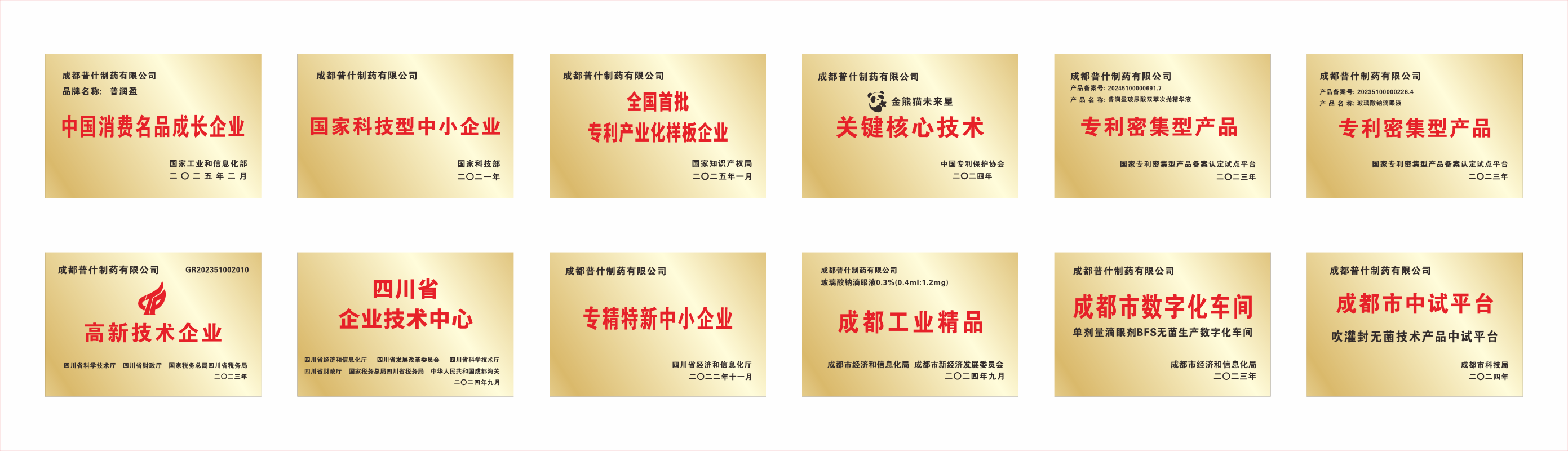公司图片4