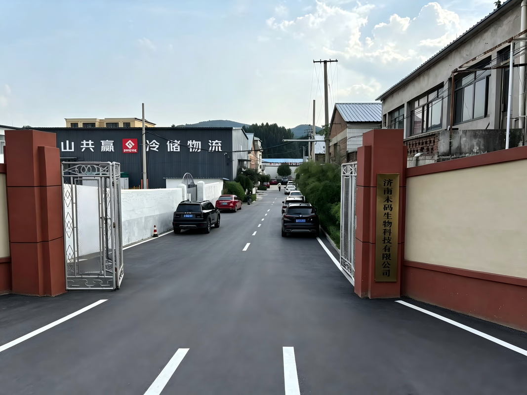公司图片3