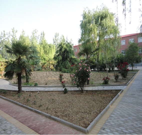 公司图片4