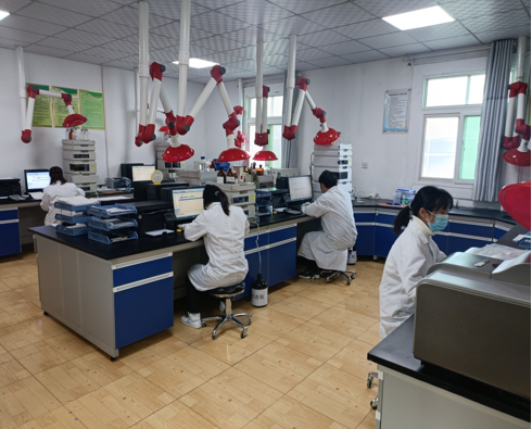 公司图片7
