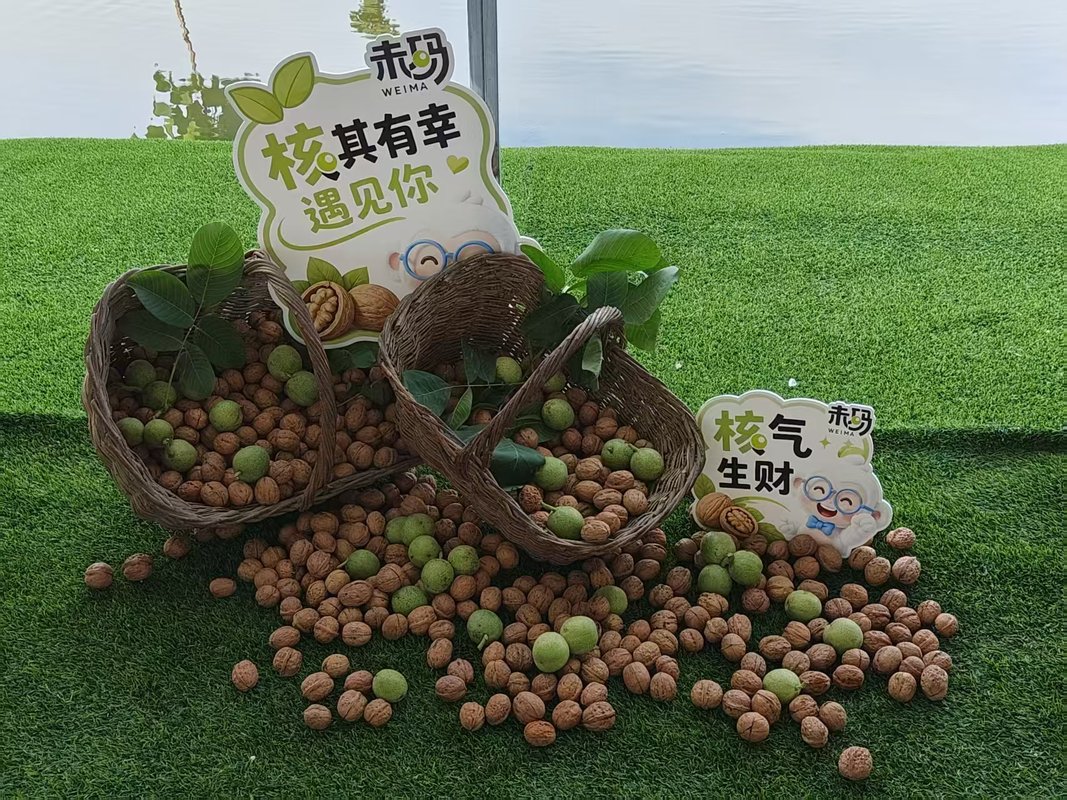 公司图片4