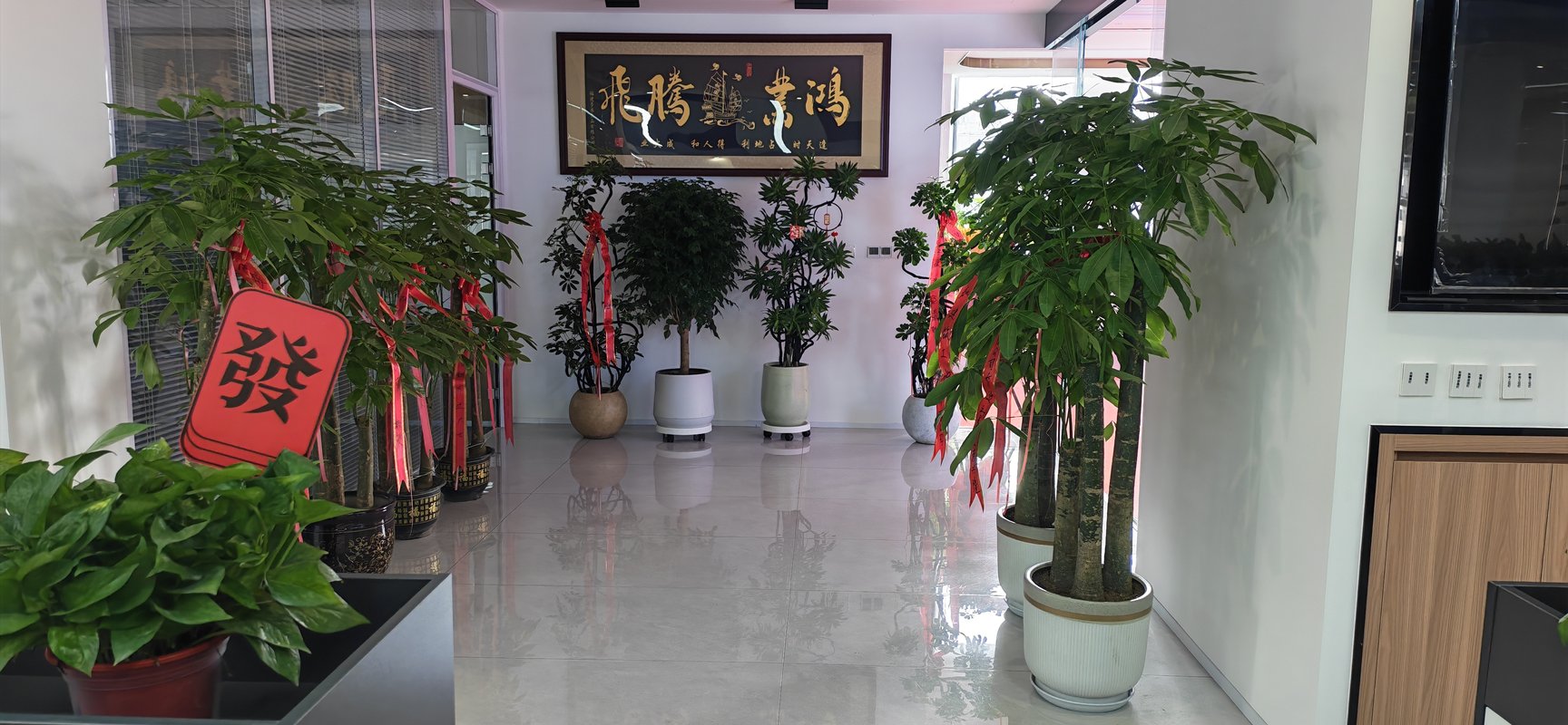 公司图片4
