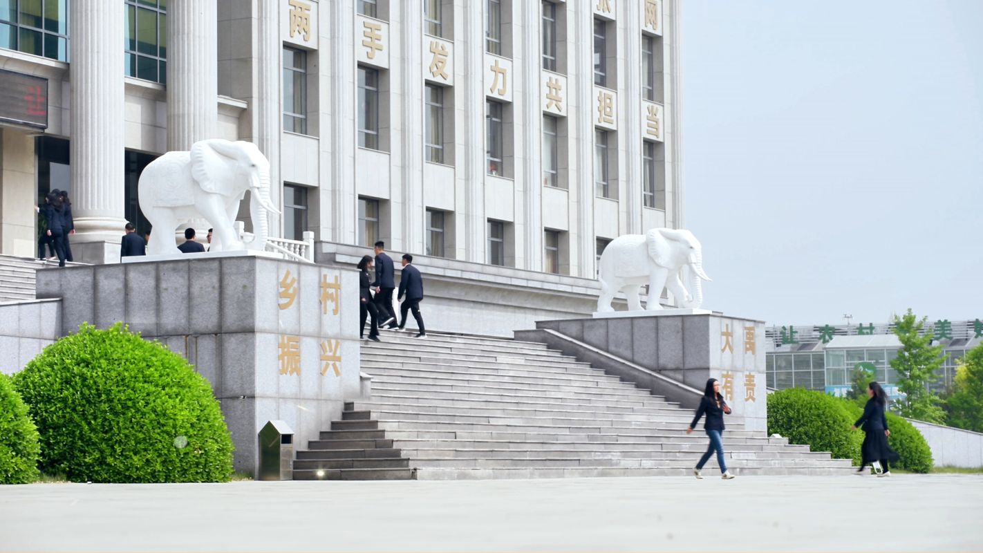 公司图片2