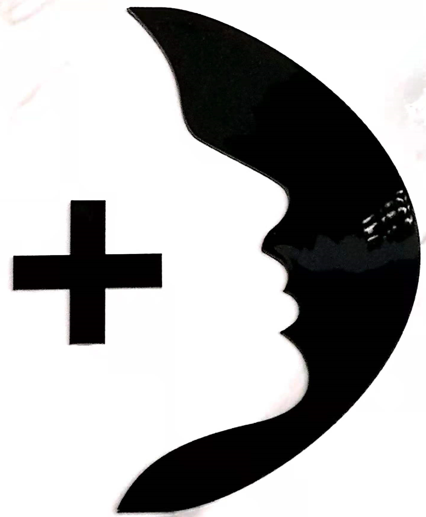 阜阳市茜魅尔医疗美容有限公司