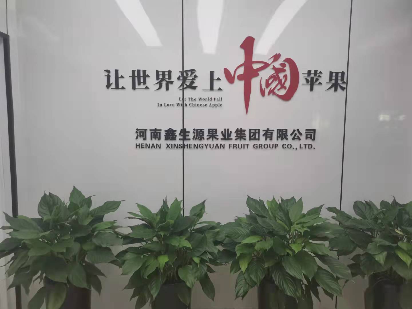 河南鑫生源果业集团有限公司