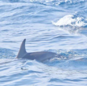 桂林市佰瑞贸易有限责任公司