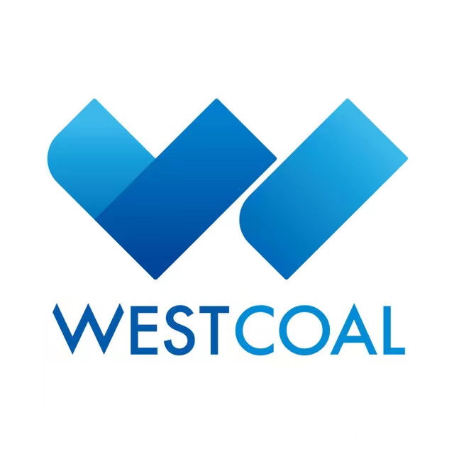 陕西煤炭交易中心有限公司