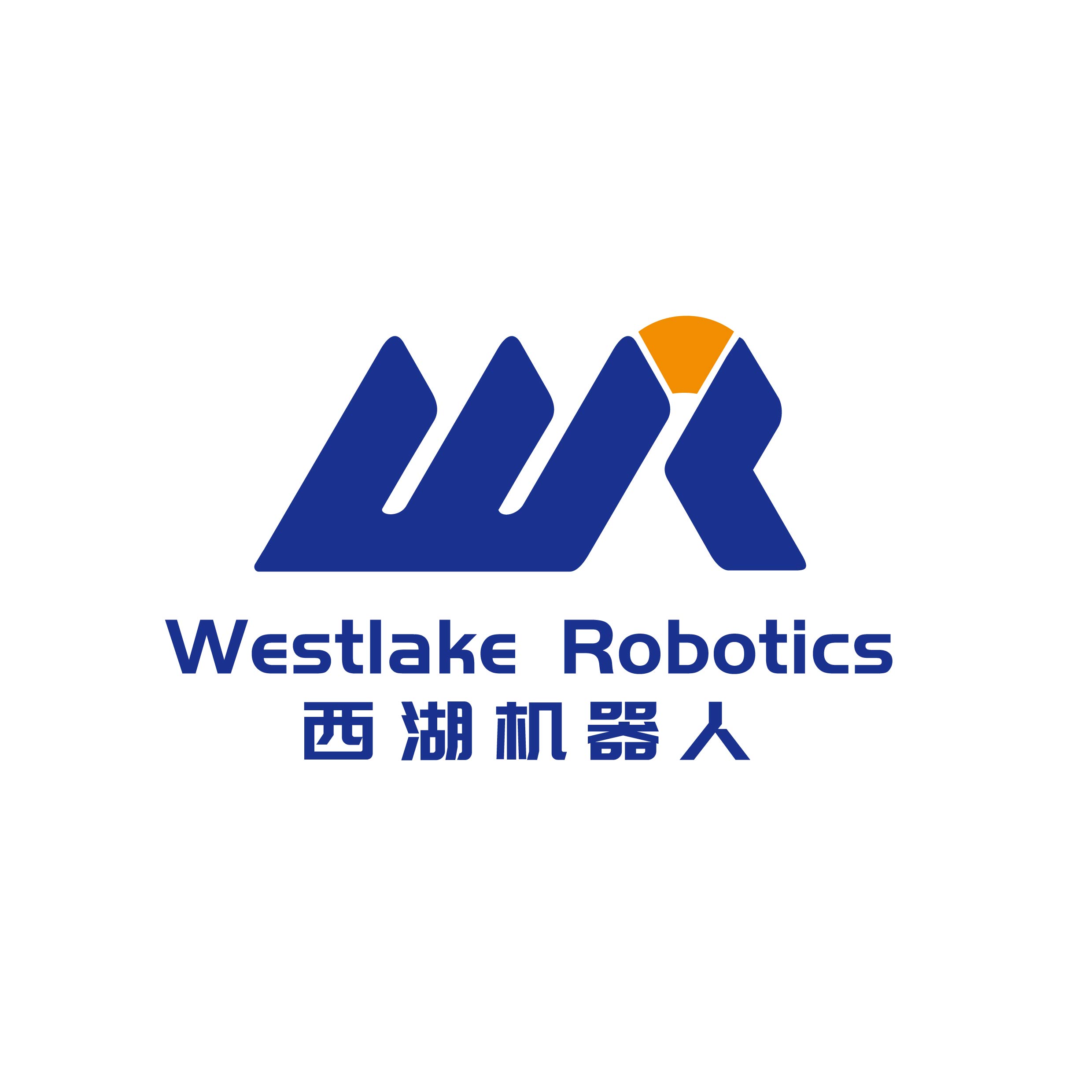 西湖机器人科技(杭州)有限公司
