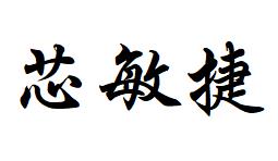 南京芯敏捷科技有限公司