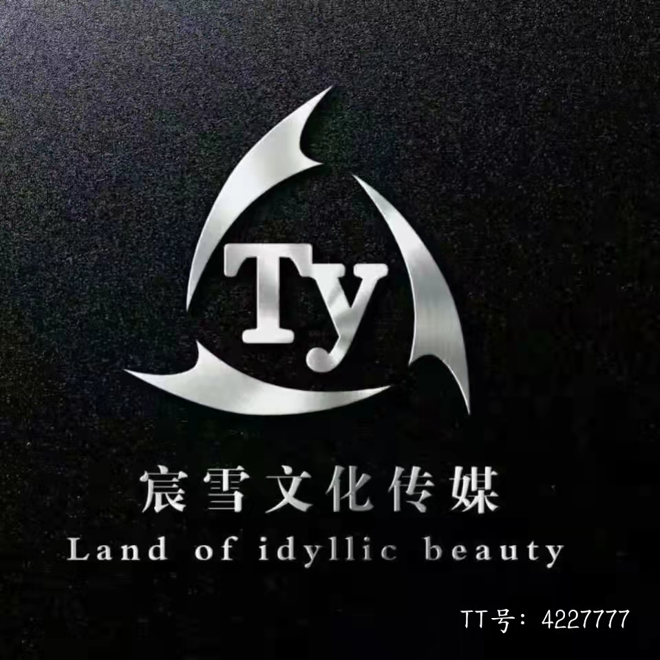 德州宸雪文化传媒有限公司