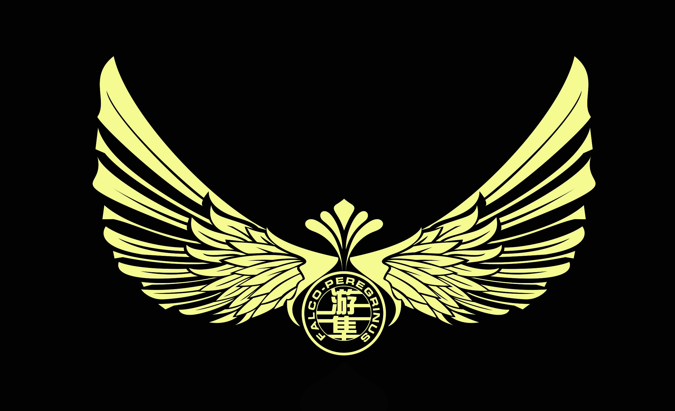 北京游隼卡丁车俱乐部有限公司