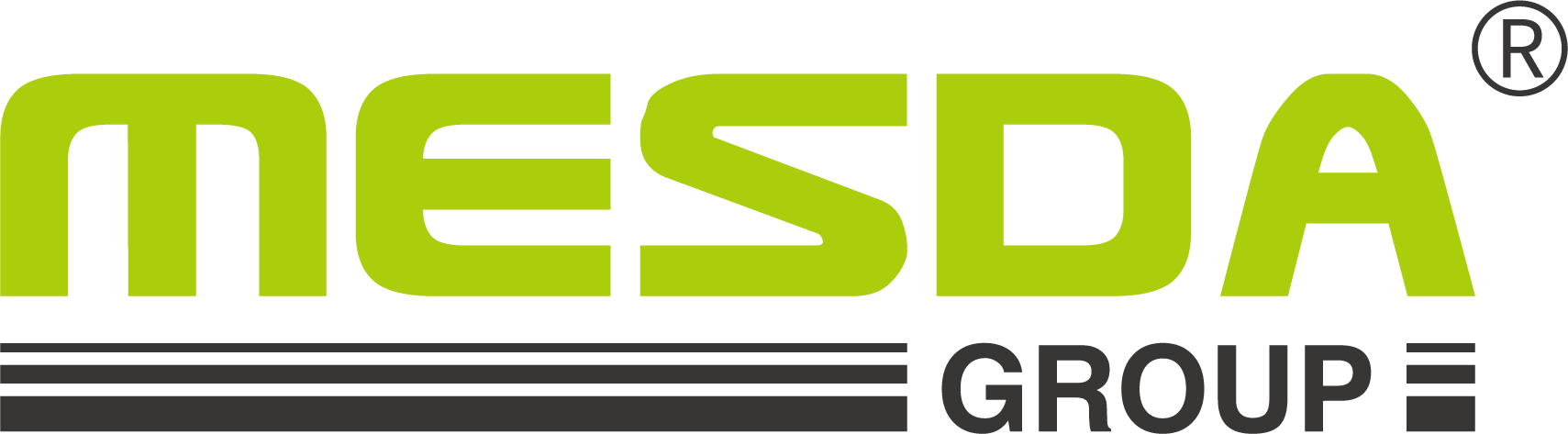 广西美斯达集团有限公司