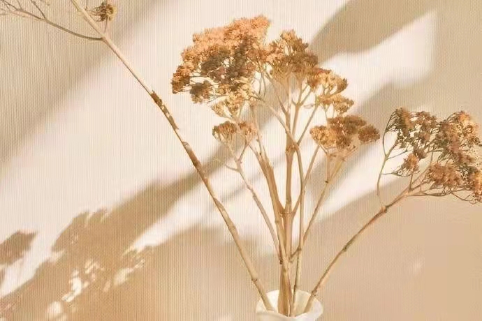 贵池区智图天下家具销售中心