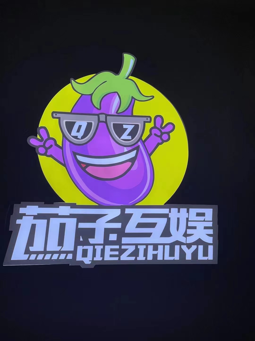 陆丰市乐动茄子文化传媒有限公司