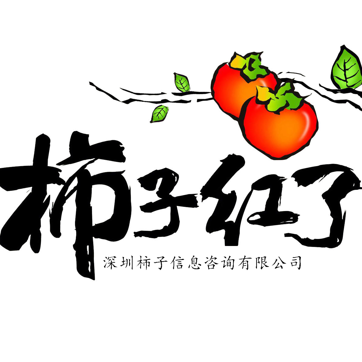 深圳柿子信息咨询有限公司