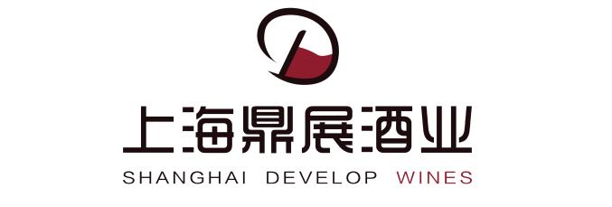 上海鼎展投资有限公司