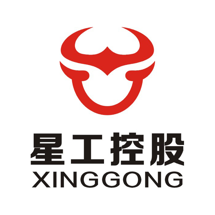 陕西星工投资控股集团有限公司