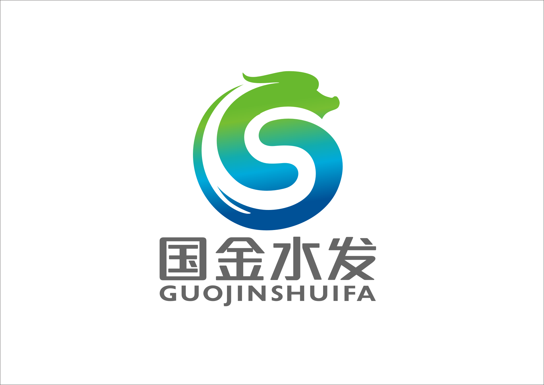 山东国金水利发展集团有限公司