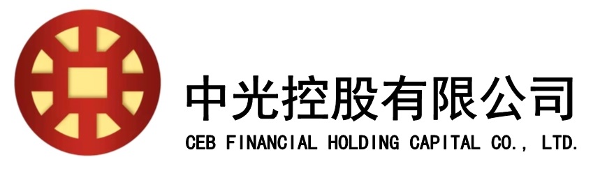 中光控股有限公司