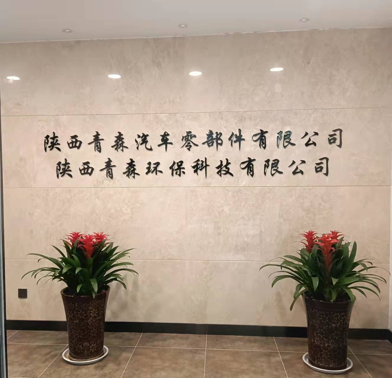 陕西青森汽车零部件有限公司