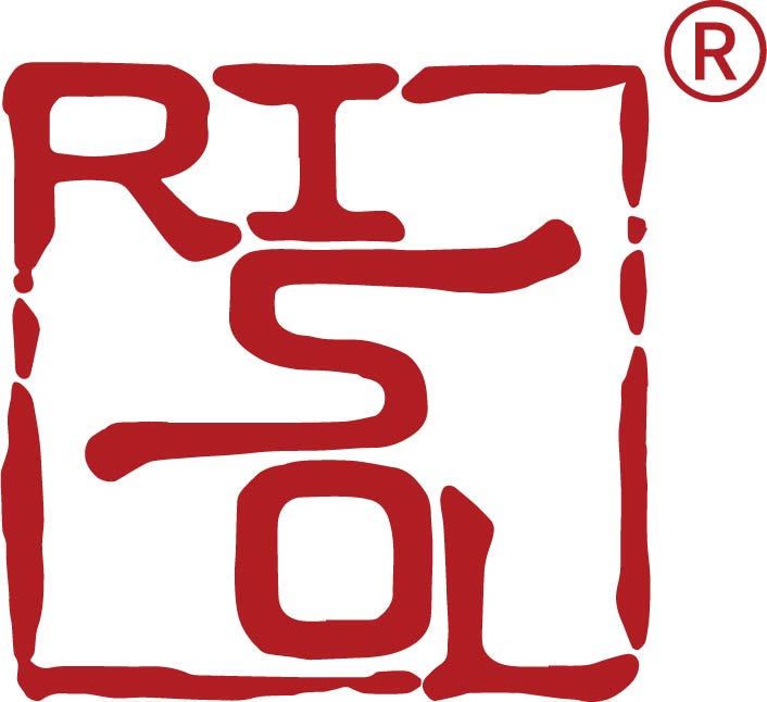 上海芮朔精密模塑科技有限公司