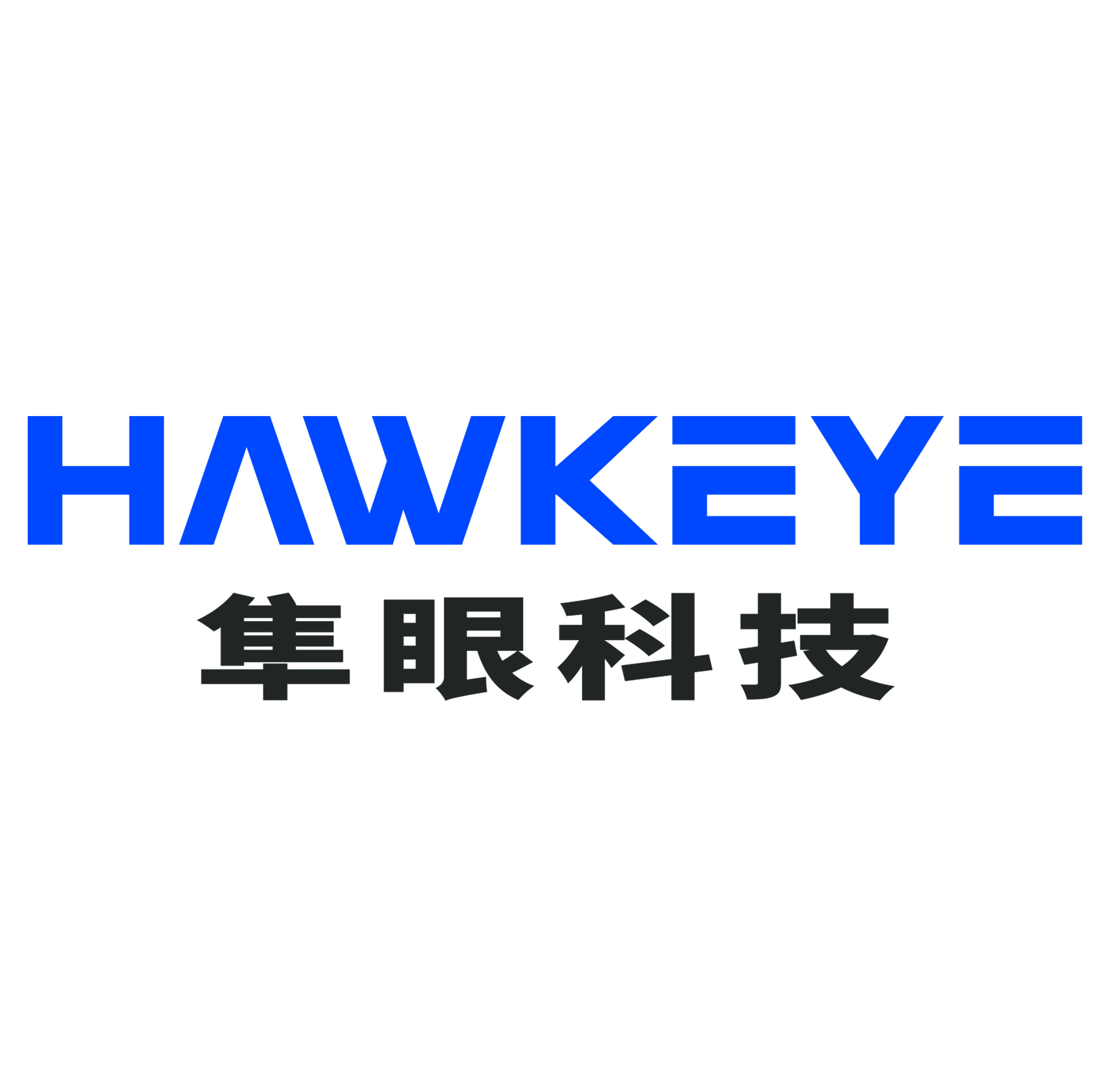 南京隼眼电子科技有限公司