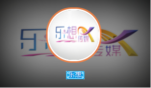 上海乐想文化传媒有限公司