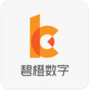 杭州碧橙数字技术股份有限公司