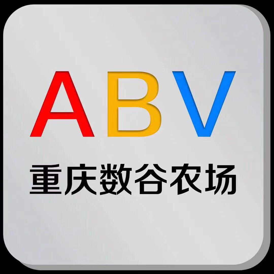 重庆市数谷旅游开发有限公司