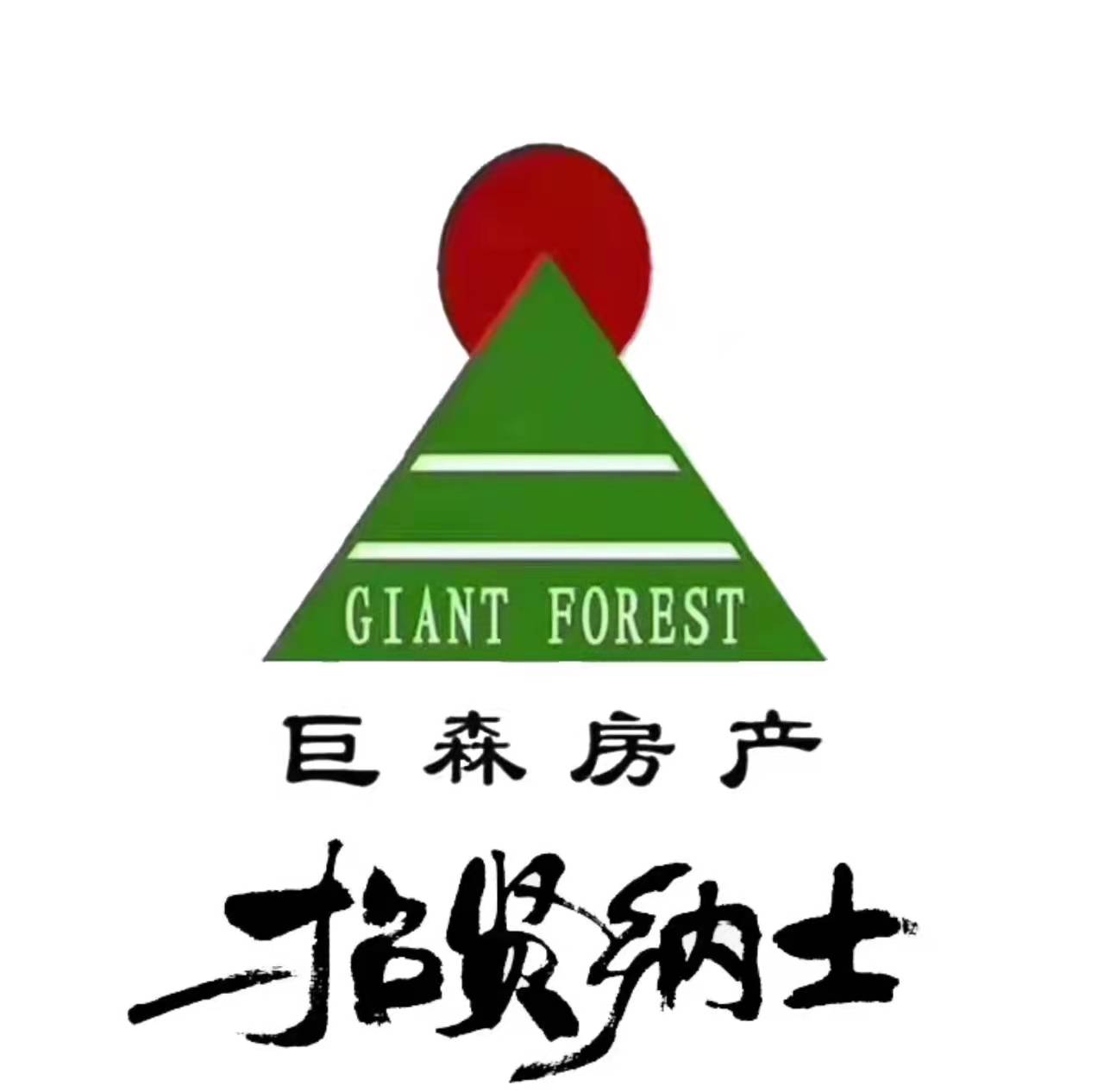 平顶山市巨森房地产咨询有限公司光明路分公司