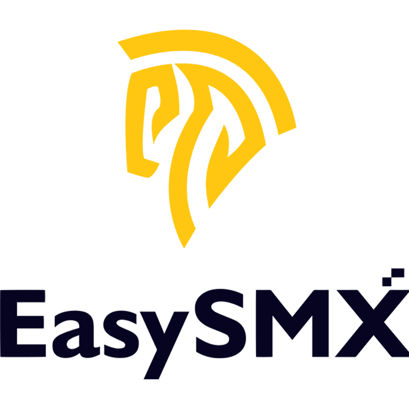 深圳易速马网络科技有限公司