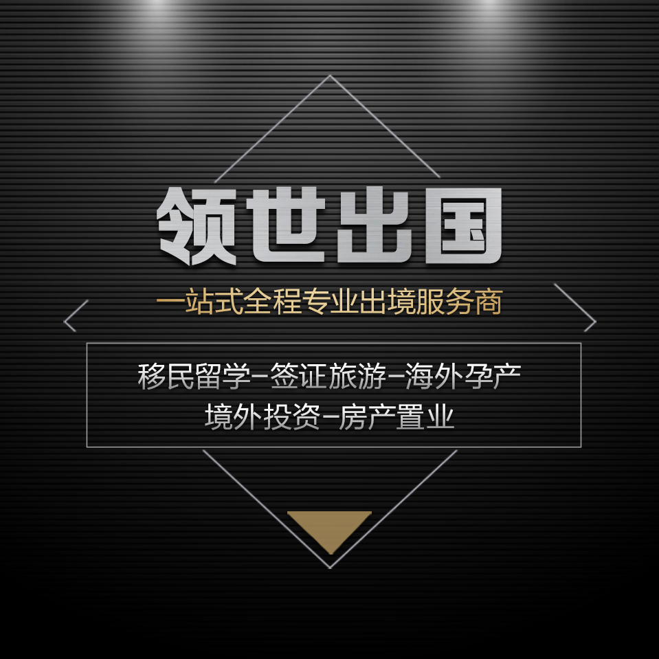 沈阳领世出入境服务有限公司