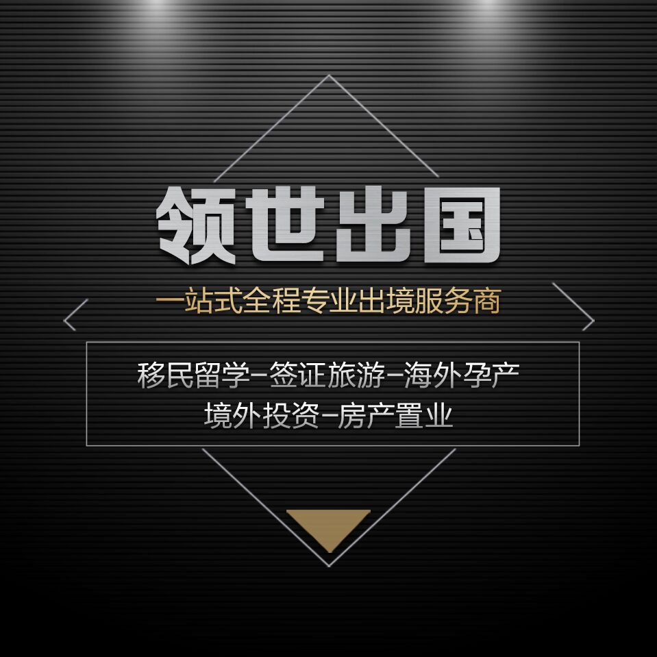 北京领世卓跃因私出入境服务有限公司