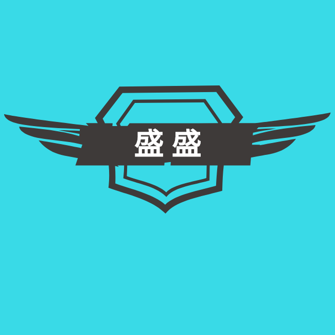 长沙盛盛电子商务有限公司