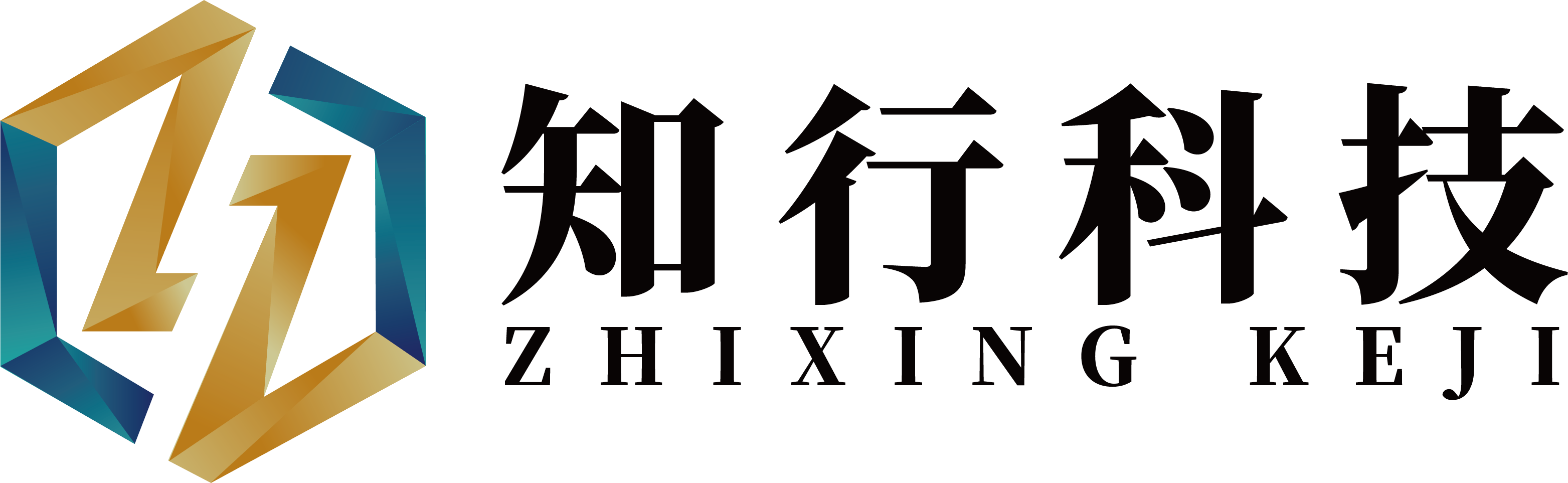 山东知行科技服务有限公司