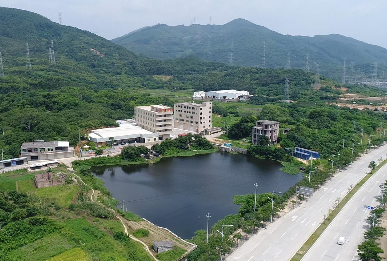 泉州新强食品有限公司