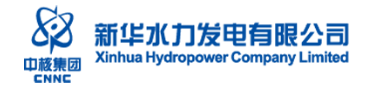 新华水力发电有限公司