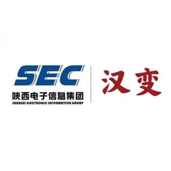 陕西汉中变压器有限责任公司