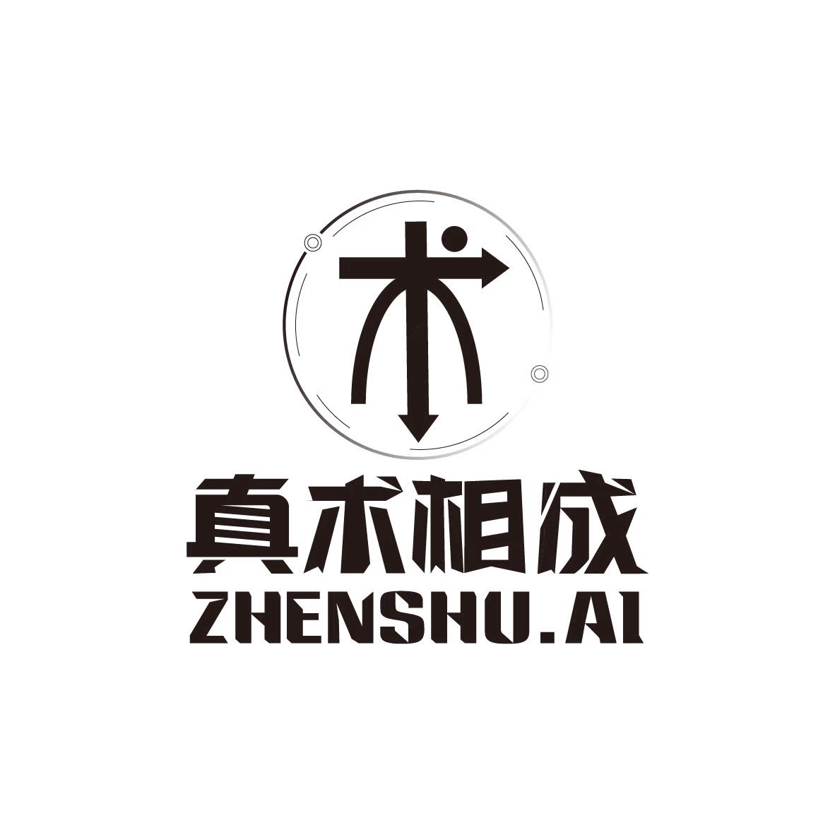 真术相成(成都)科技有限公司