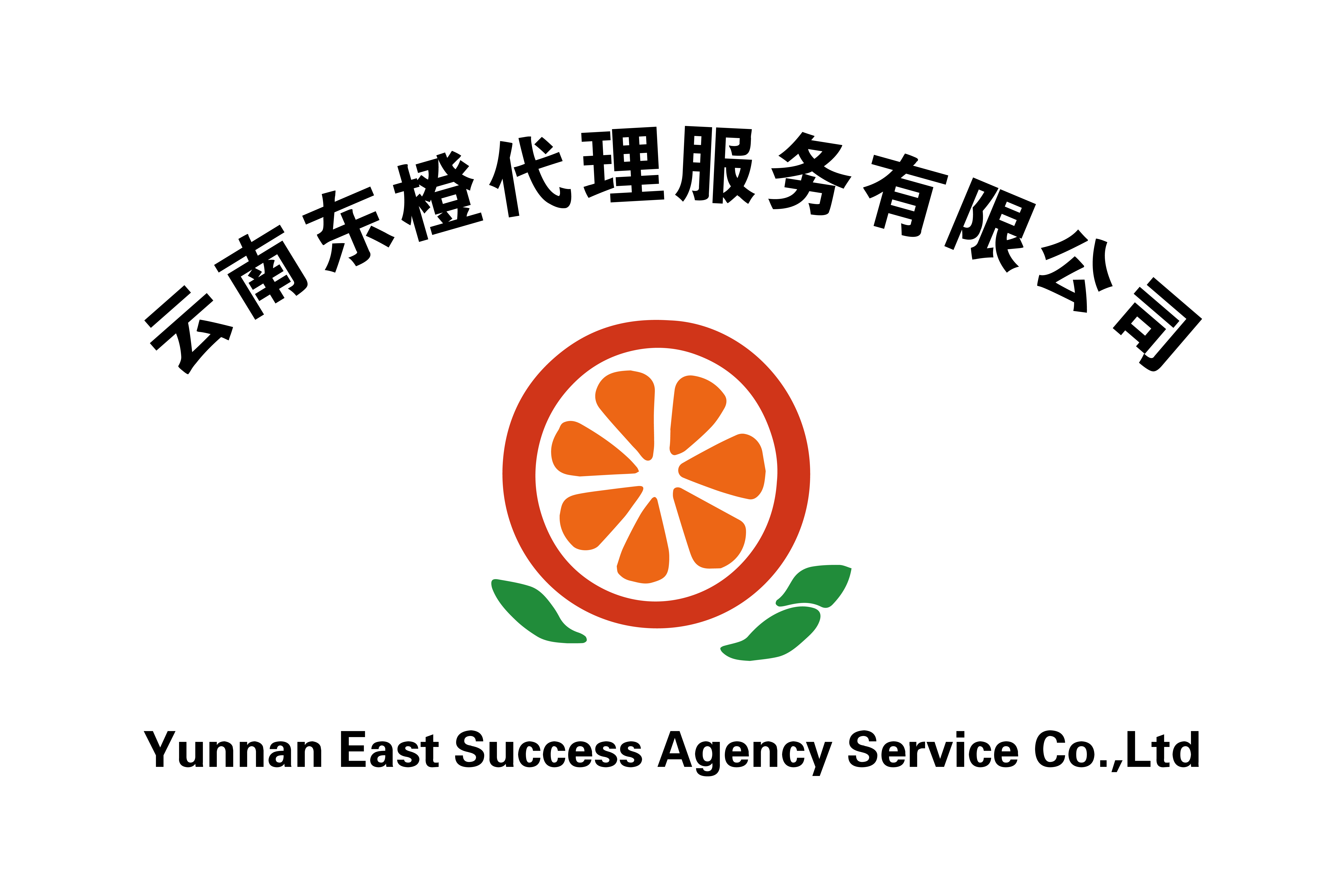 云南东橙代理服务有限公司
