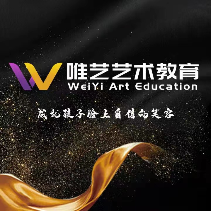 江苏唯艺艺术培训有限公司