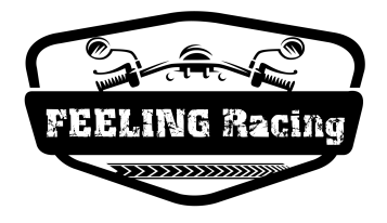 天津飞凌摩托车配件有限公司