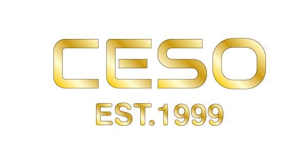 广州西索皮具有限公司