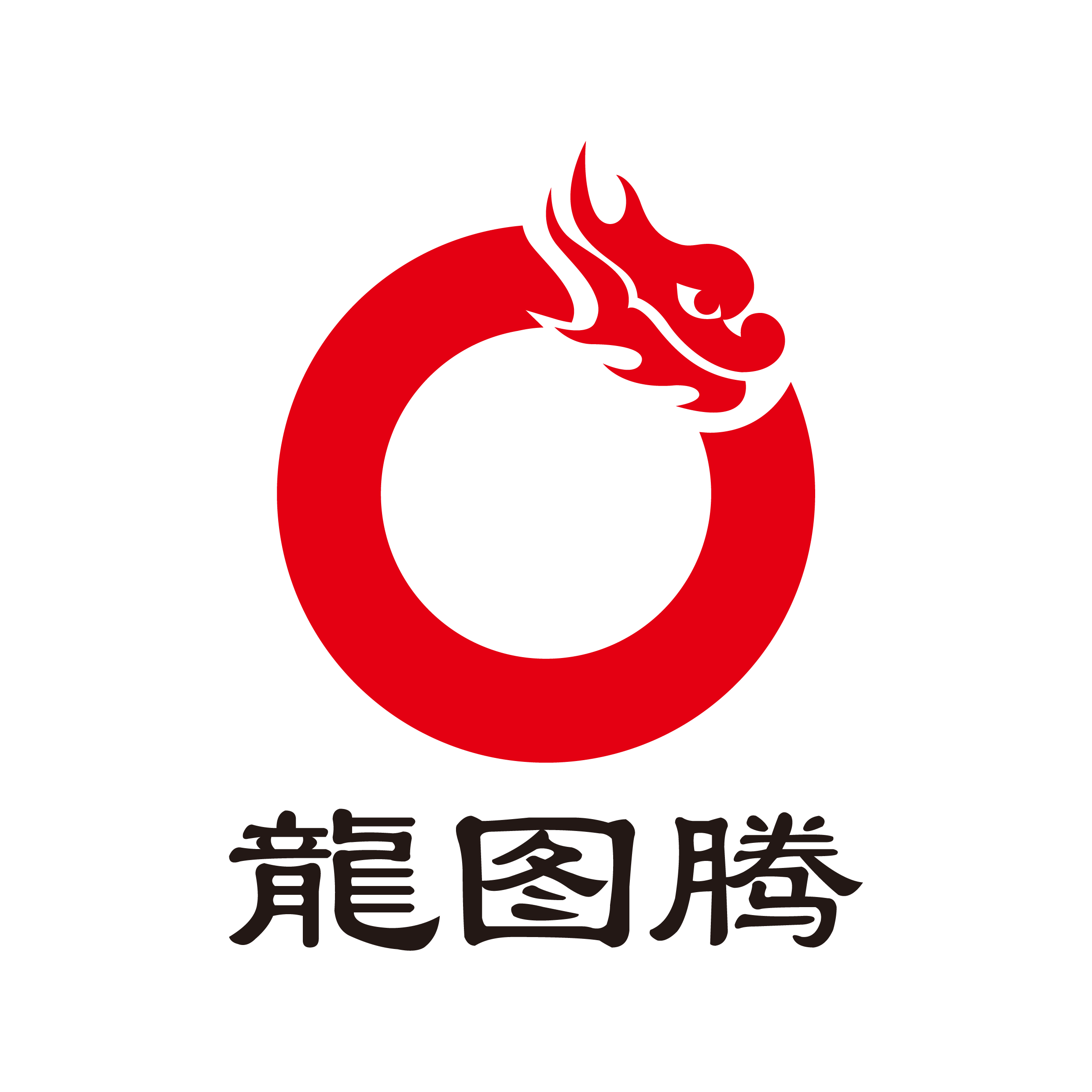 深圳龙图腾科技成果转化有限公司