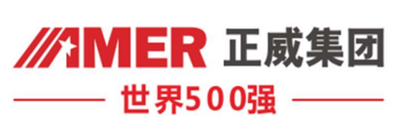 正威(平阳)控股有限公司