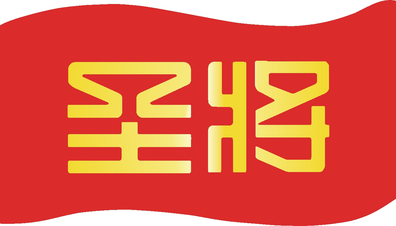 厦门市圣将集团有限公司