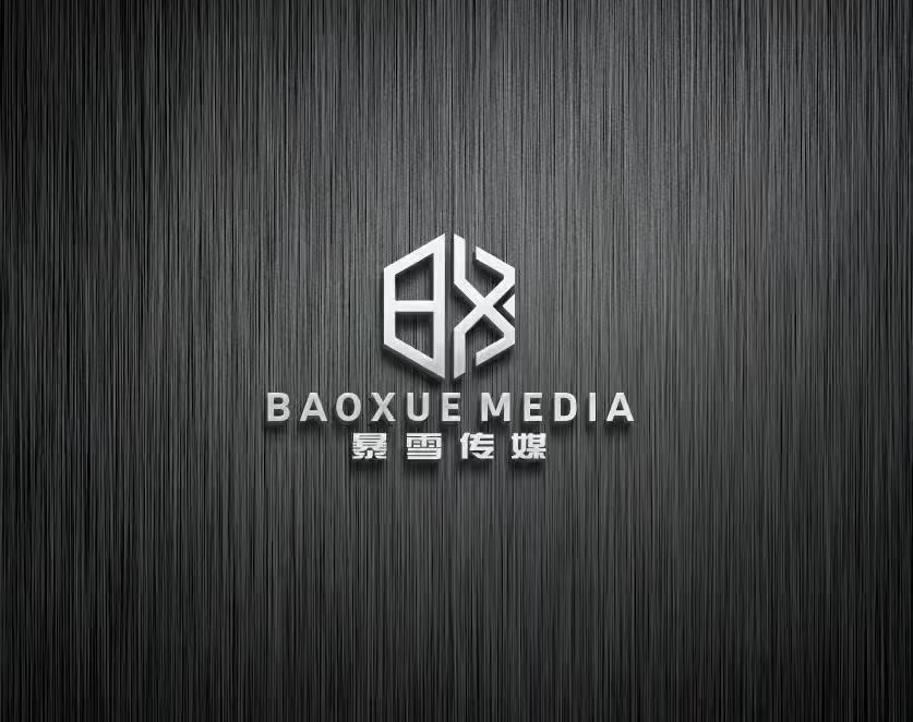 安徽暴雪传媒有限公司