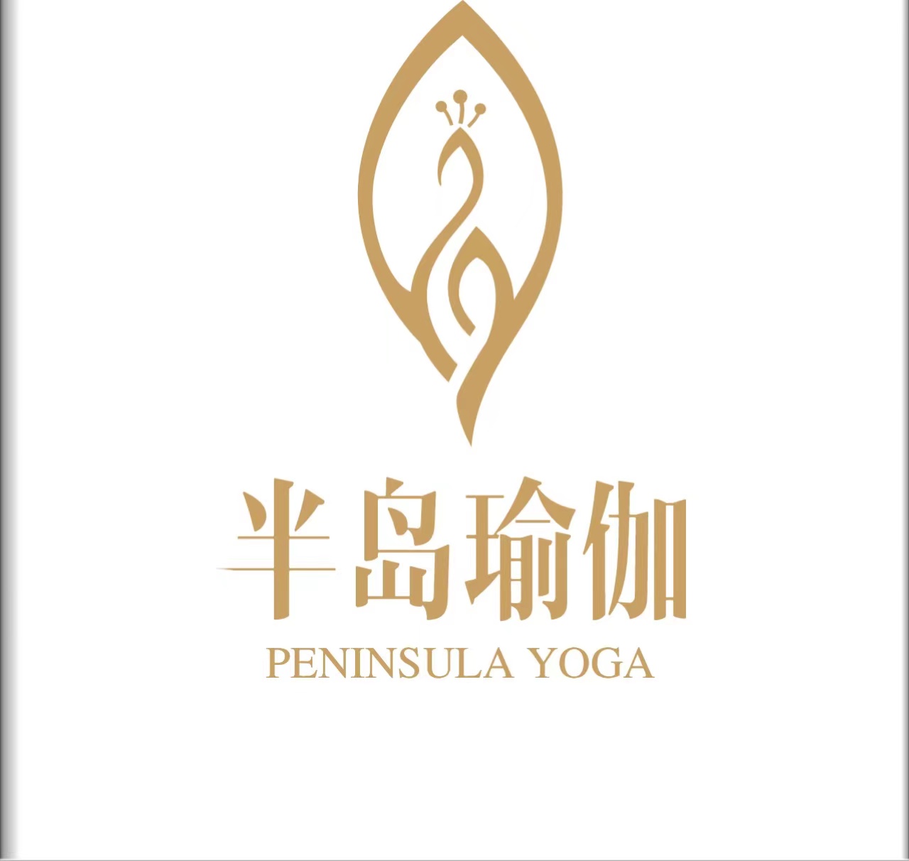 广州半岛瑜伽健身服务有限公司