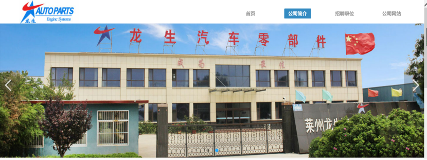 莱州龙生汽车零部件有限公司