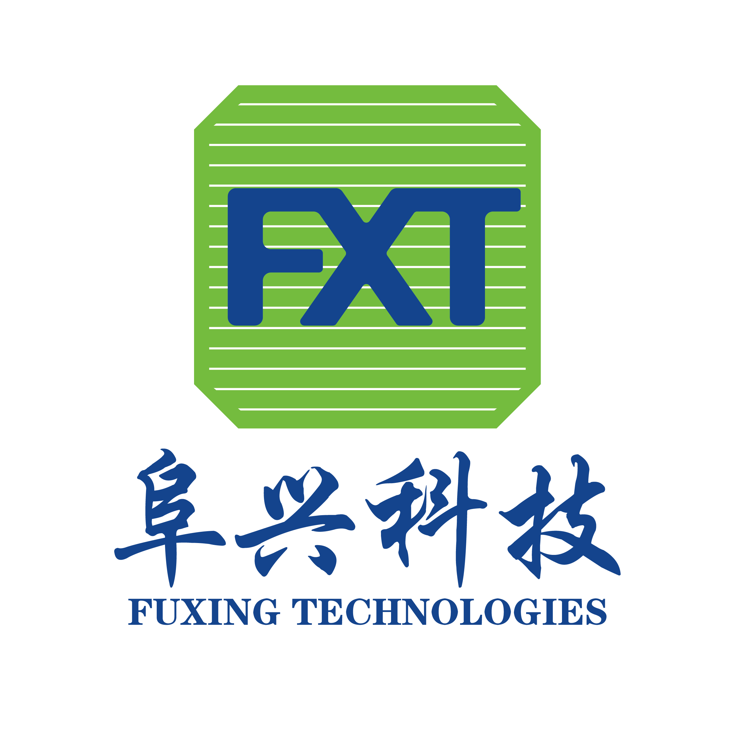 安徽阜兴新能源科技有限公司